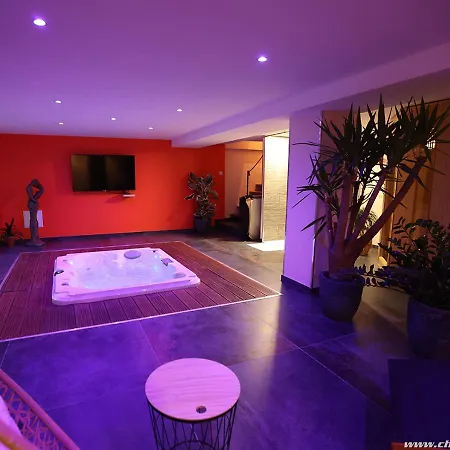 Ds Plaisir Avec Sauna, Jacuzzi A 낭시