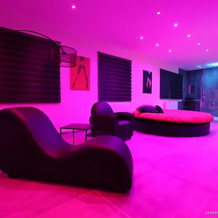 Ds Plaisir Avec Sauna, Jacuzzi A Нанси