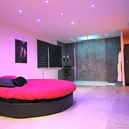 Ds Plaisir Avec Sauna, Jacuzzi A Nancy
