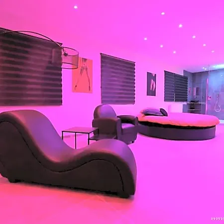 Ds Plaisir Avec Sauna, Jacuzzi A Nancy