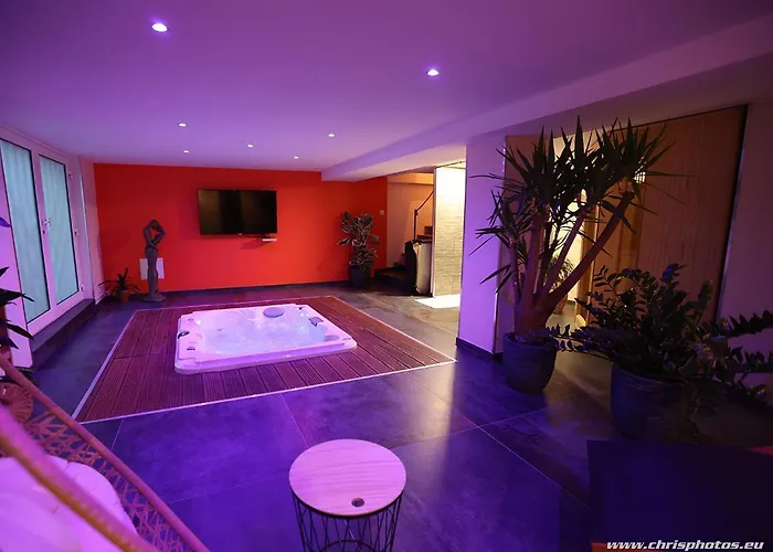 Ds Plaisir Avec Sauna, Jacuzzi A Nancy
